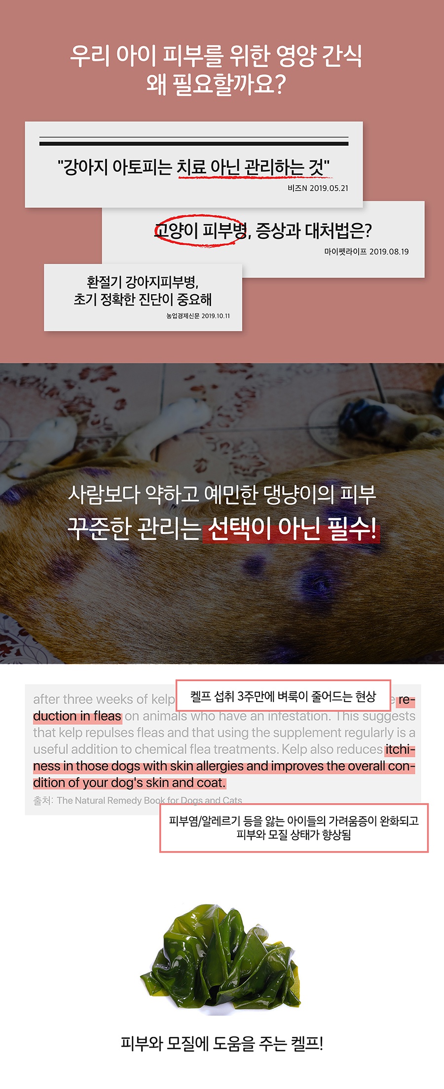 it 잇쭈 피부 특대용량 (8개입*8개)-상품이미지-3