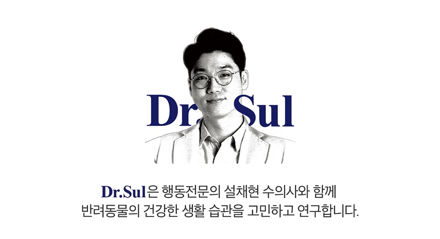 (미운영) 닥터설 논슬립 패드 특대용량 (50매*6개)-상품이미지-2