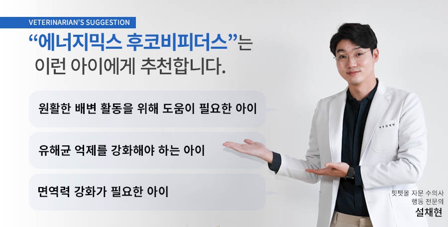 에너지믹스 후코비피더스 유산균 영양제 (2g*20포)-상품이미지-0