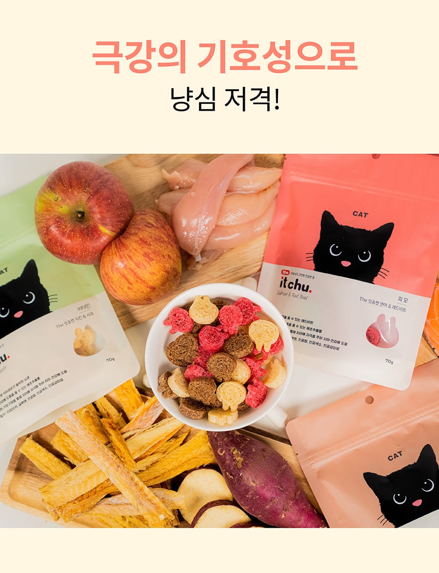 it 더 잇츄 캣 (치킨&사과/황태&고구마/연어&레드비트)-상품이미지-3