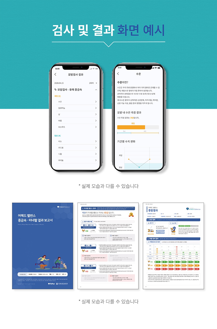 핏펫 어헤드 밸런스 - 모발검사키트-상품이미지-10