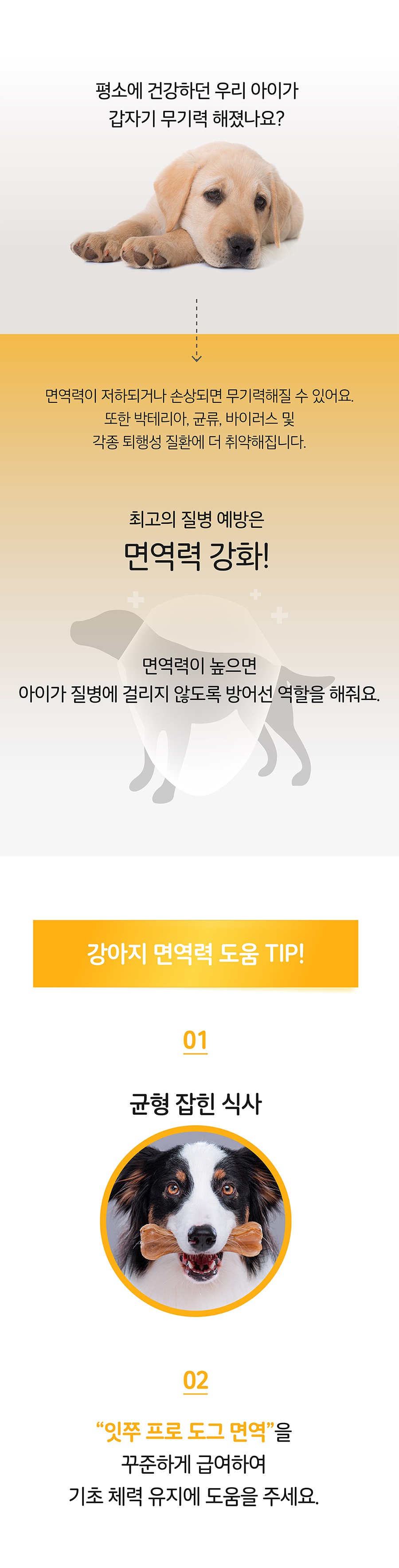 it 잇쭈 프로 도그 면역 특대용량 (8개입*8개)-상품이미지-2
