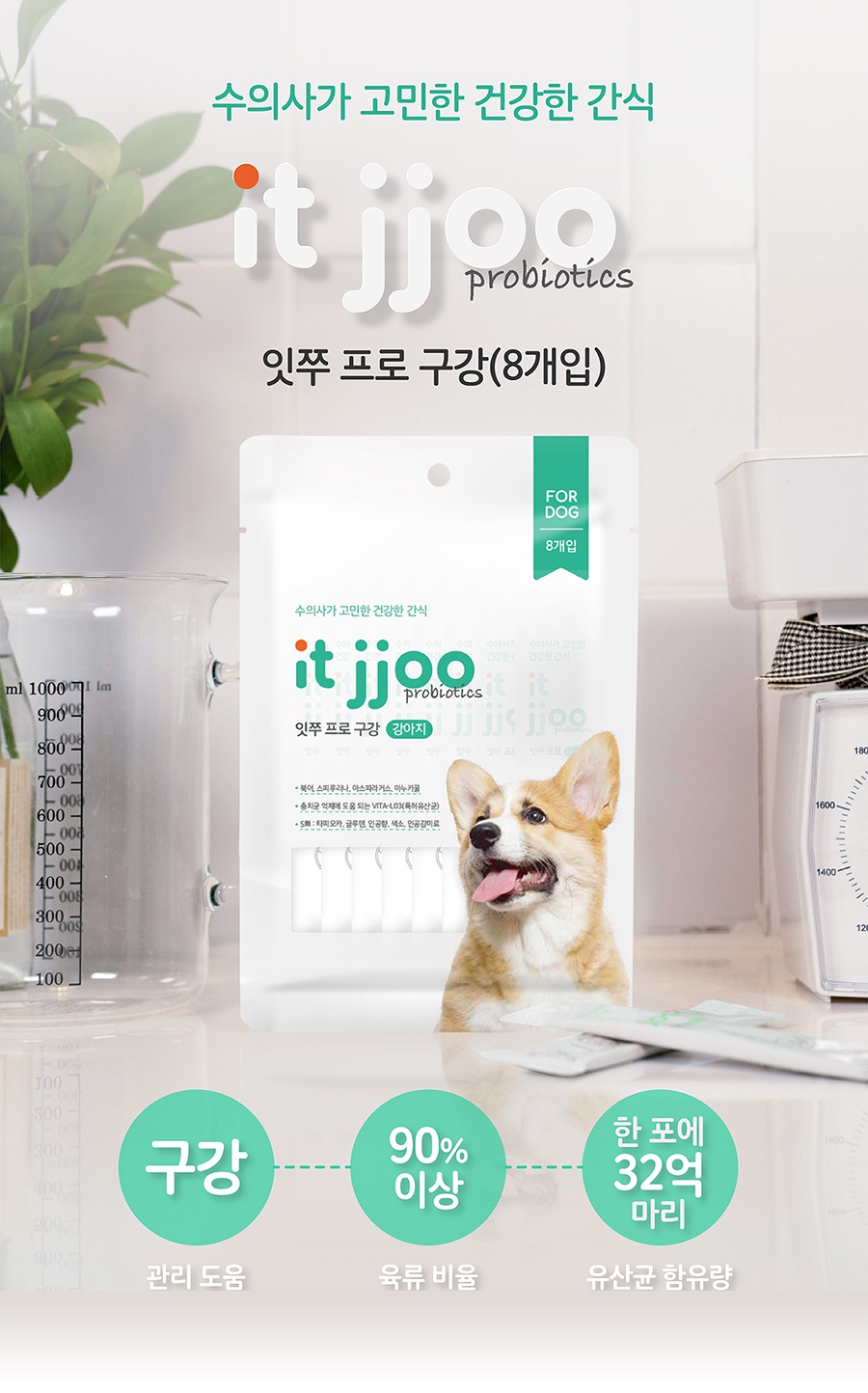 it 잇쭈 프로 도그 구강 대용량 (8개입*4개)-상품이미지-1