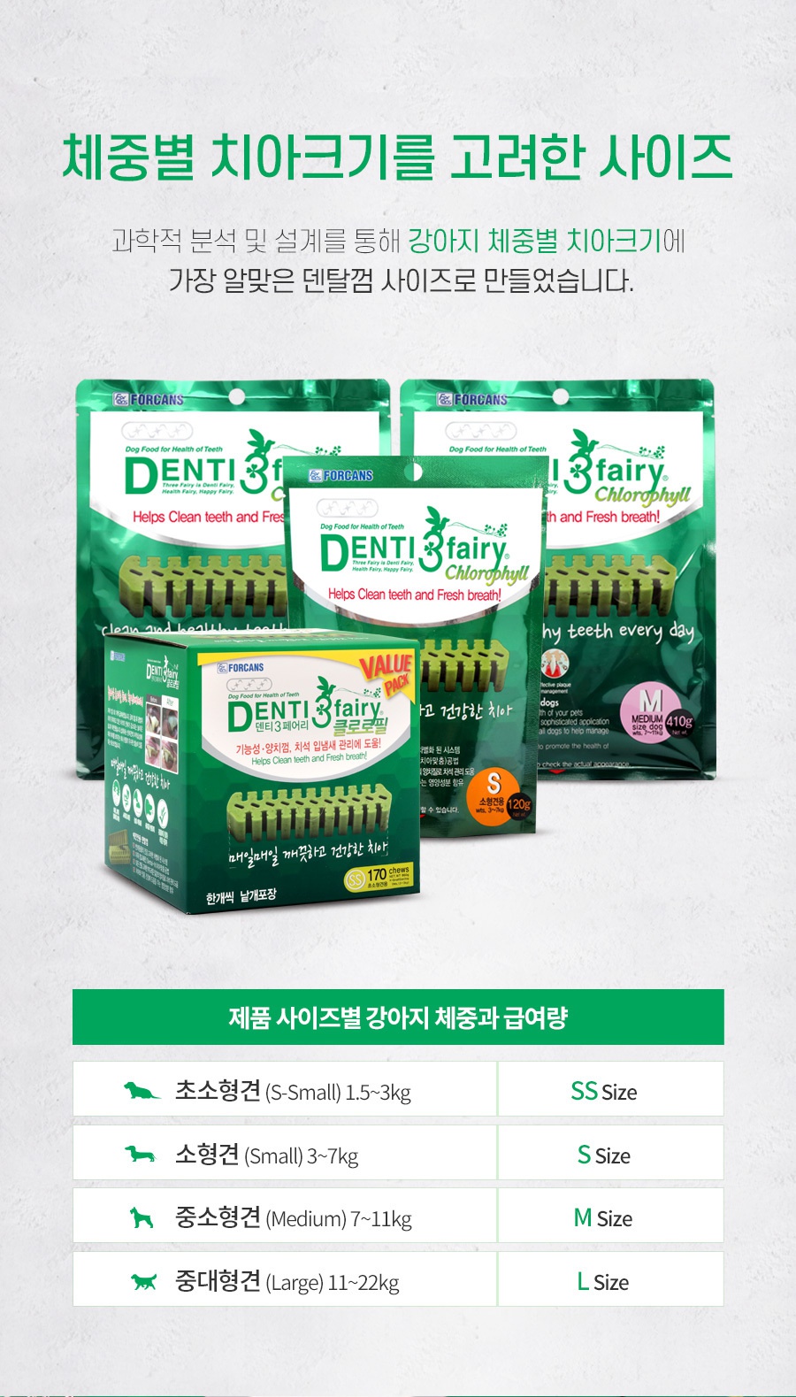 덴티페어리 클로로필 M 대용량 (34P)-상품이미지-8