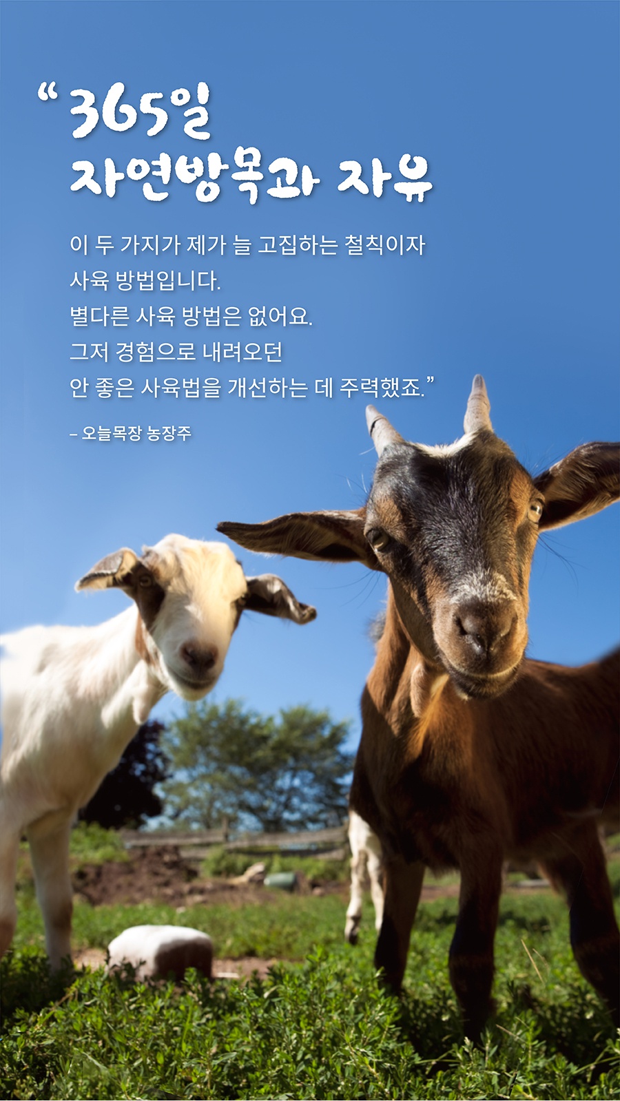 베터 365일 자연방목 오늘목장 산양유퍼프 (딸기/망고/블루베리)-상품이미지-4